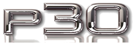 p30 logo